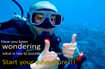 fun diving